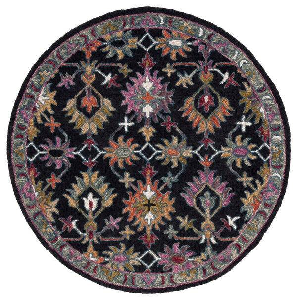 safavieh clearance aspen apn135z black rug