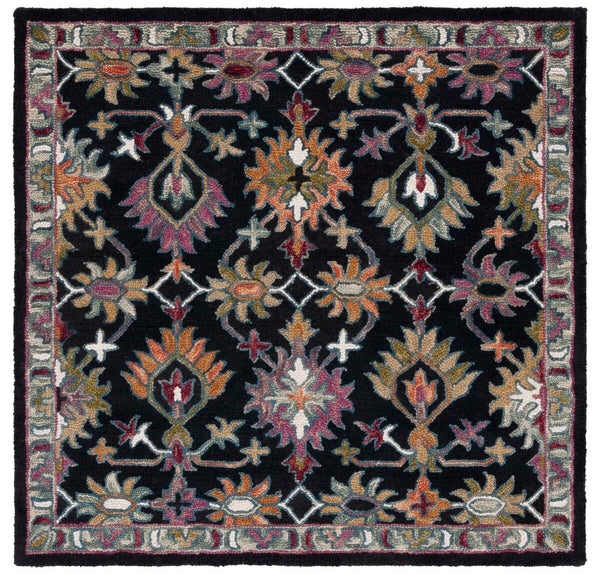 safavieh clearance aspen apn135z black rug
