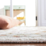 safavieh clearance aspen apn143a ivory rug