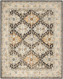 safavieh clearance aspen apn304a beige rug