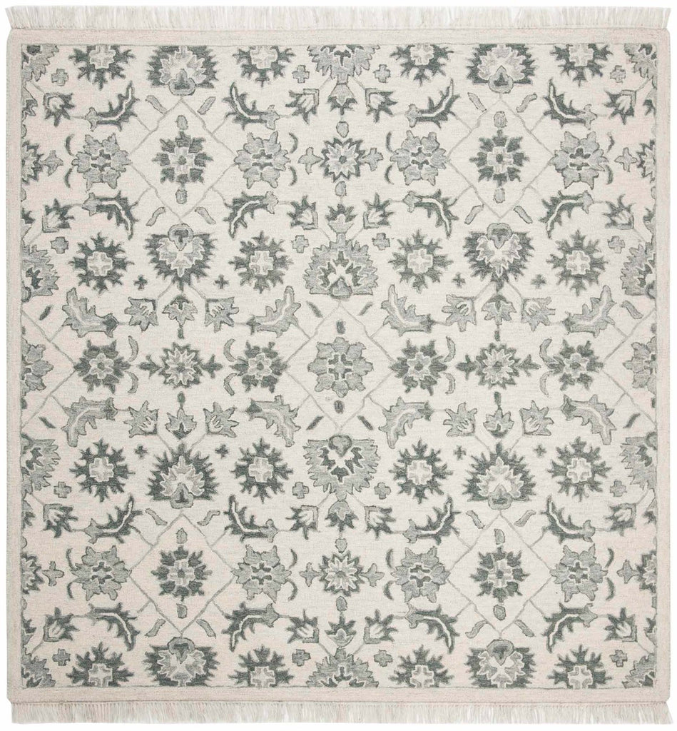 safavieh clearance aspen apn321y green rug