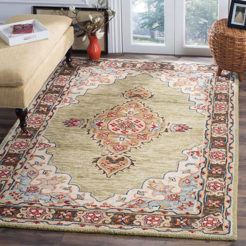 safavieh clearance aspen apn506a sage rug
