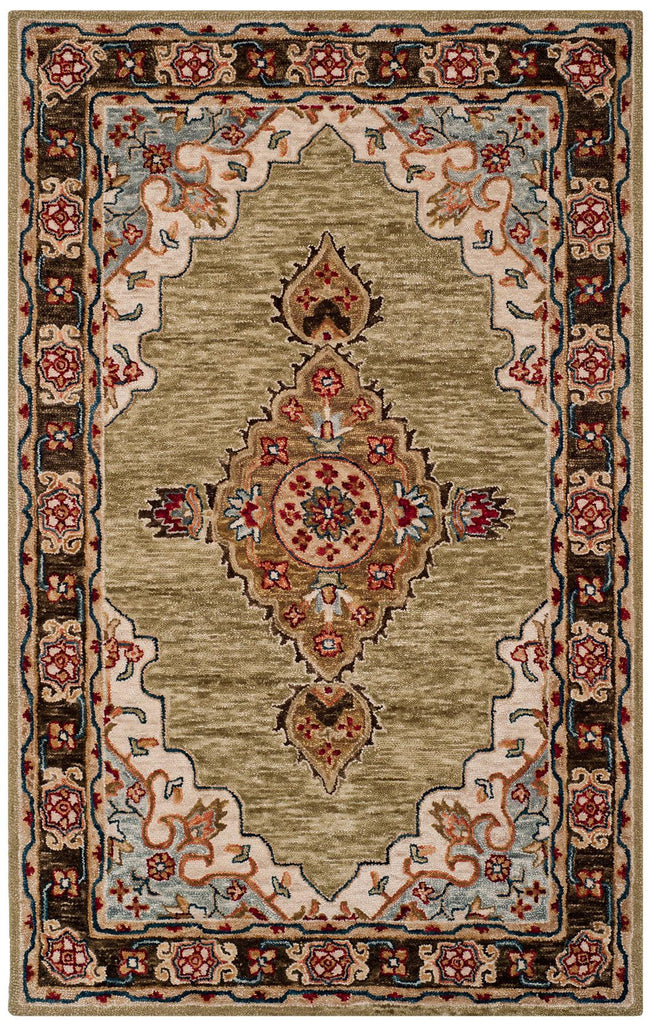 safavieh clearance aspen apn506a sage rug