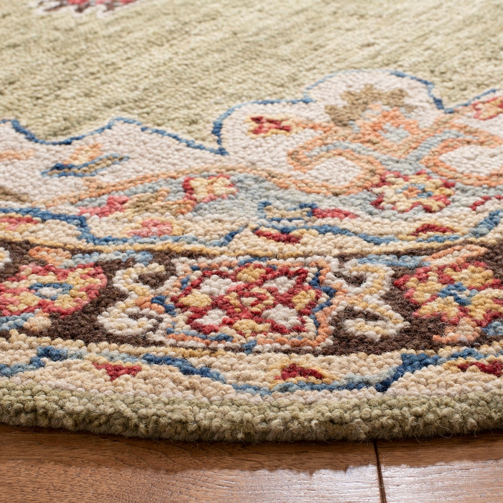 safavieh clearance aspen apn506a sage rug