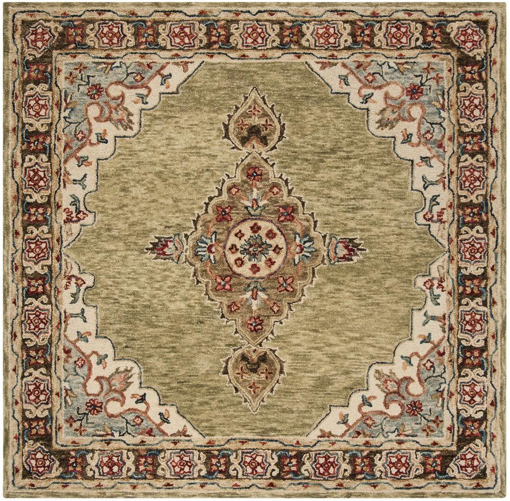 safavieh clearance aspen apn506a sage rug