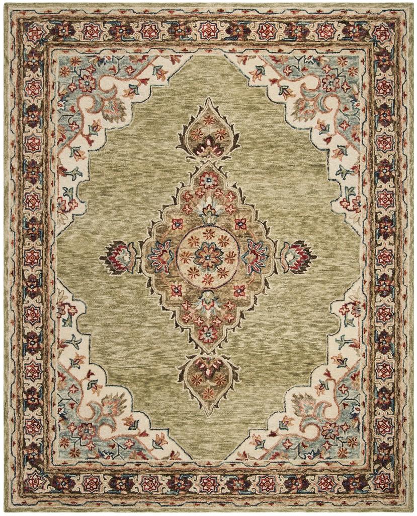 safavieh clearance aspen apn506a sage rug
