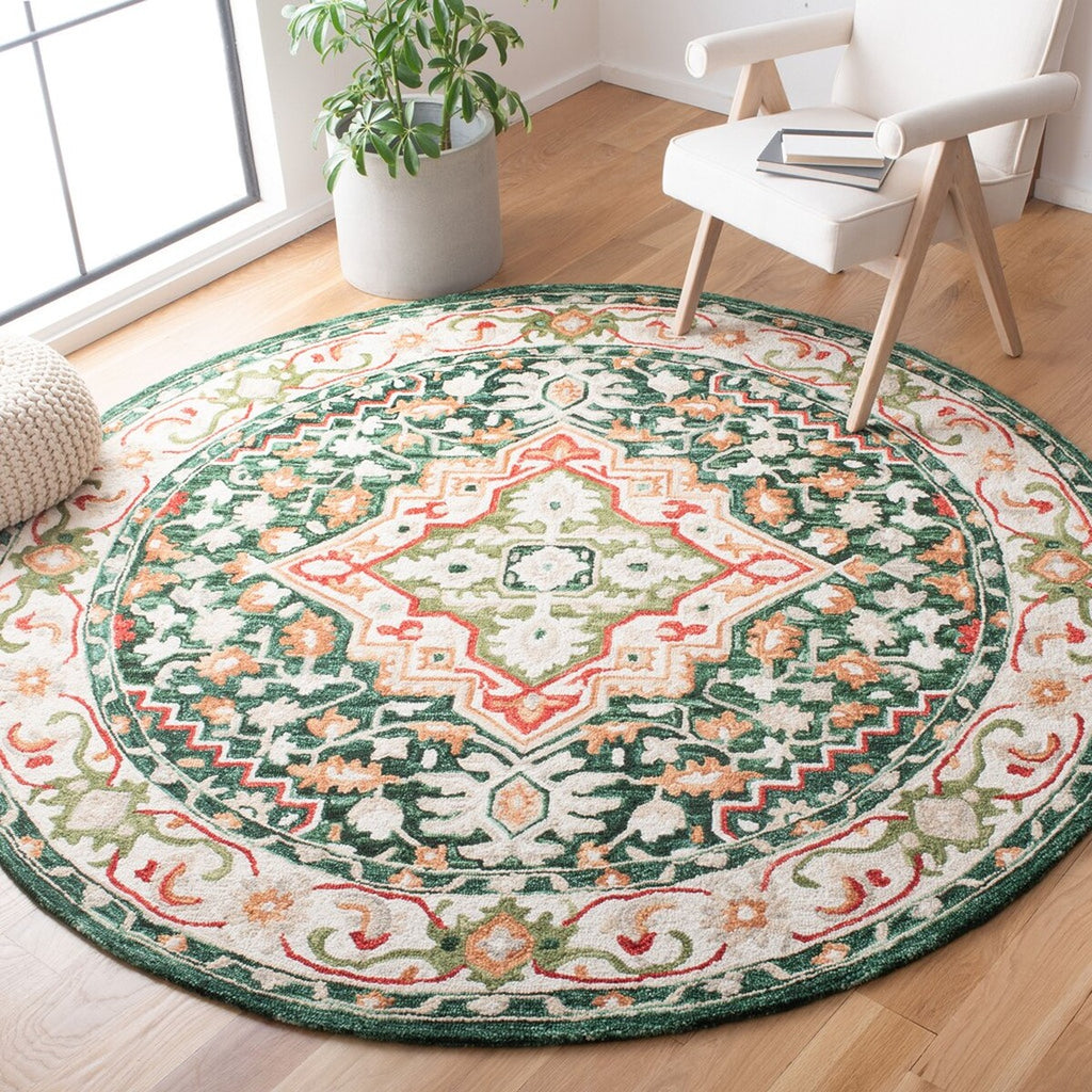 safavieh clearance aspen apn705q green rug