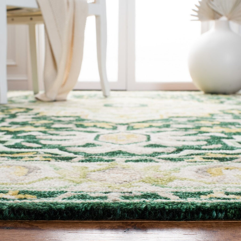 safavieh clearance aspen apn705y green rug