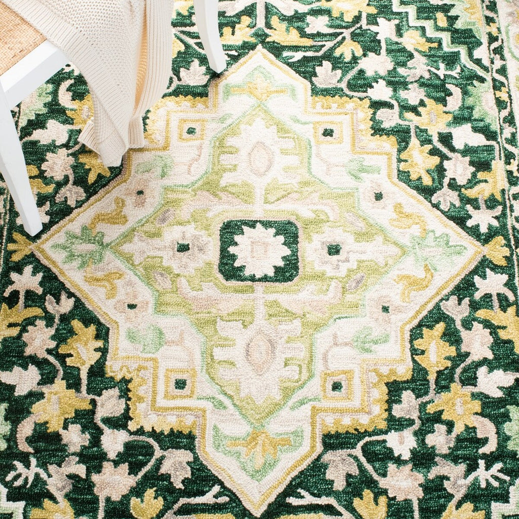 safavieh clearance aspen apn705y green rug