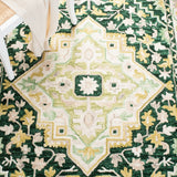 safavieh clearance aspen apn705y green rug