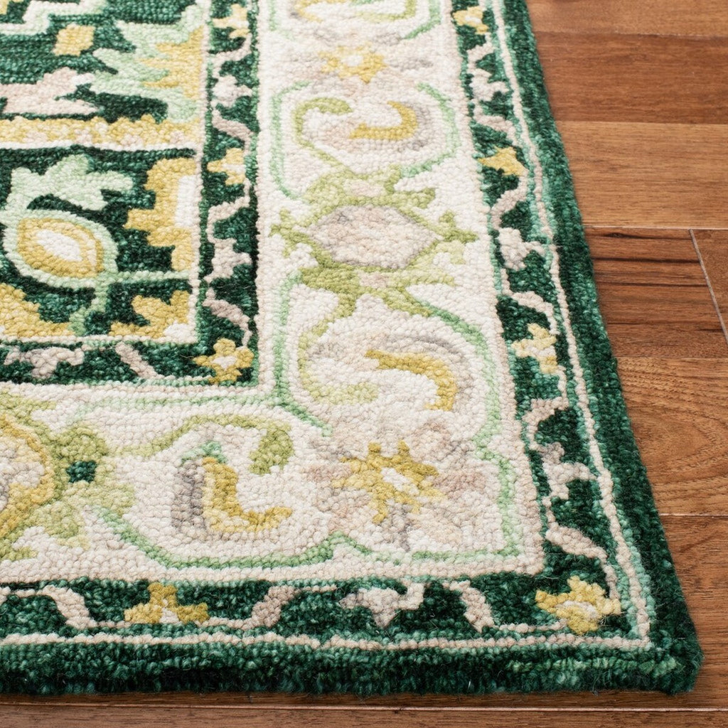 safavieh clearance aspen apn705y green rug