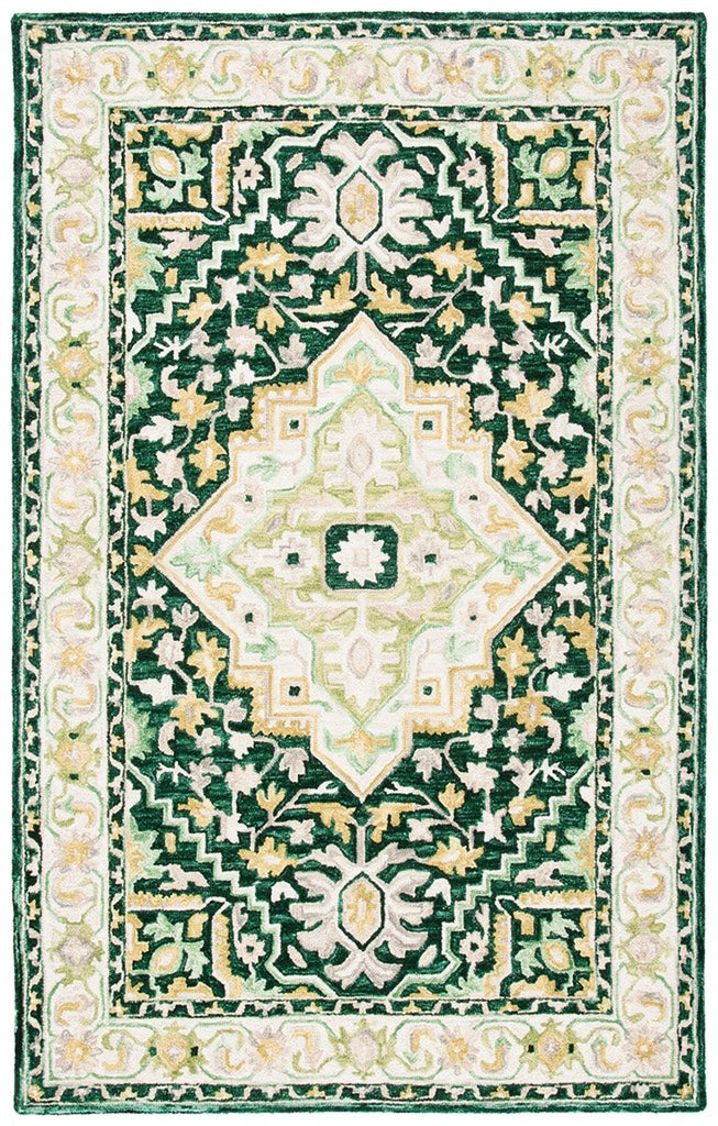 safavieh clearance aspen apn705y green rug