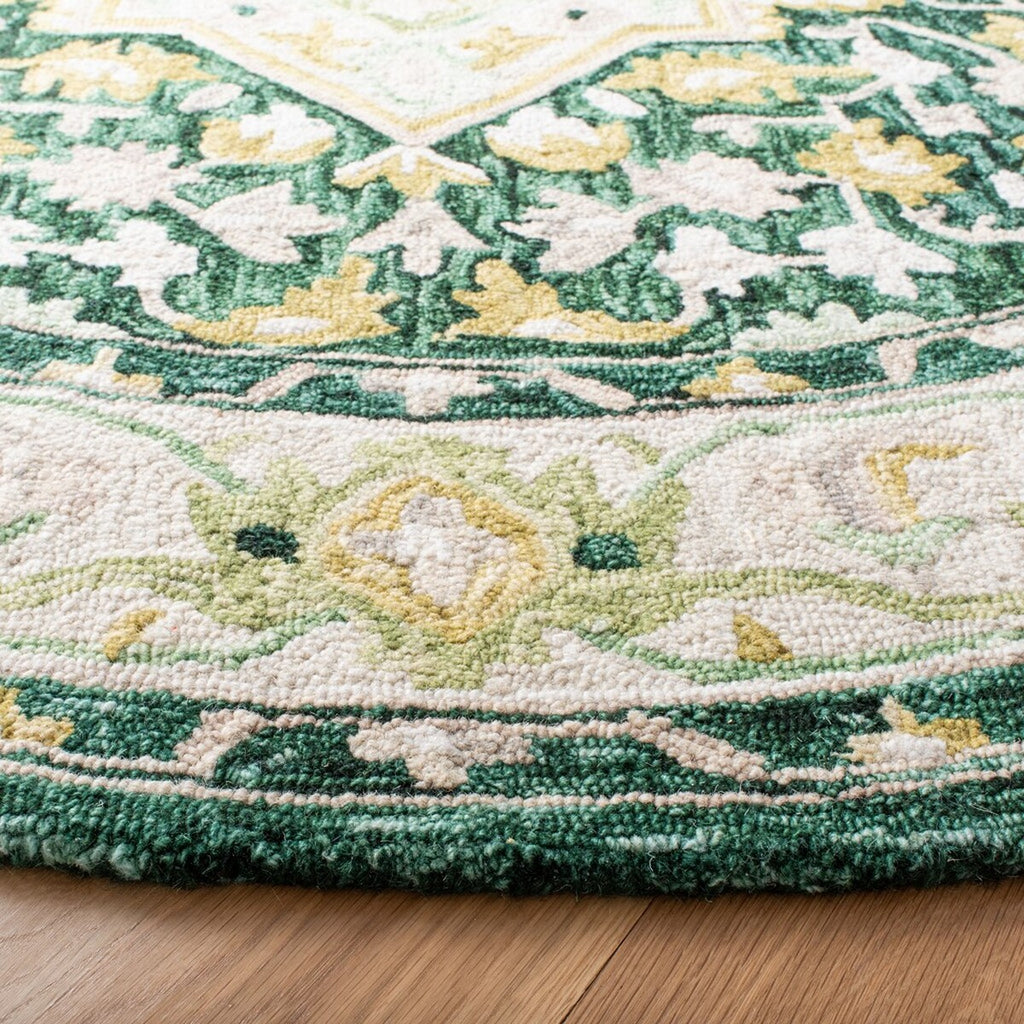 safavieh clearance aspen apn705y green rug