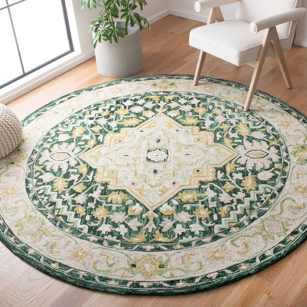 safavieh clearance aspen apn705y green rug