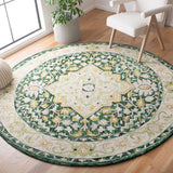 safavieh clearance aspen apn705y green rug