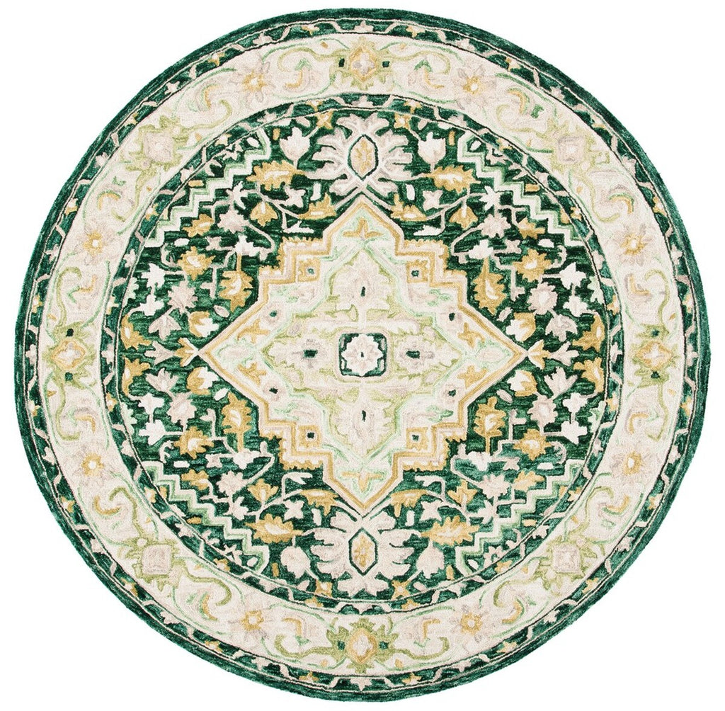safavieh clearance aspen apn705y green rug
