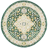 safavieh clearance aspen apn705y green rug