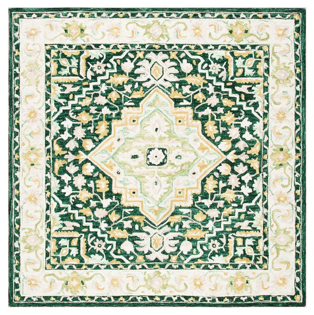 safavieh clearance aspen apn705y green rug