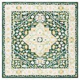 safavieh clearance aspen apn705y green rug