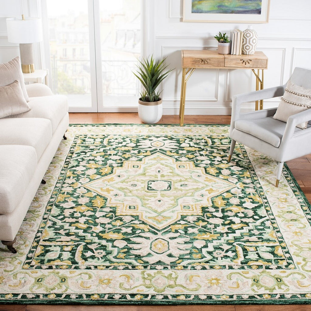 safavieh clearance aspen apn705y green rug