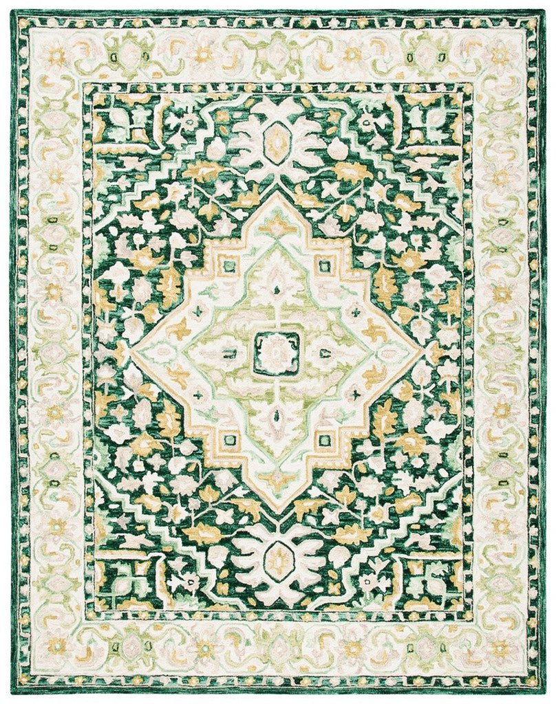 safavieh clearance aspen apn705y green rug