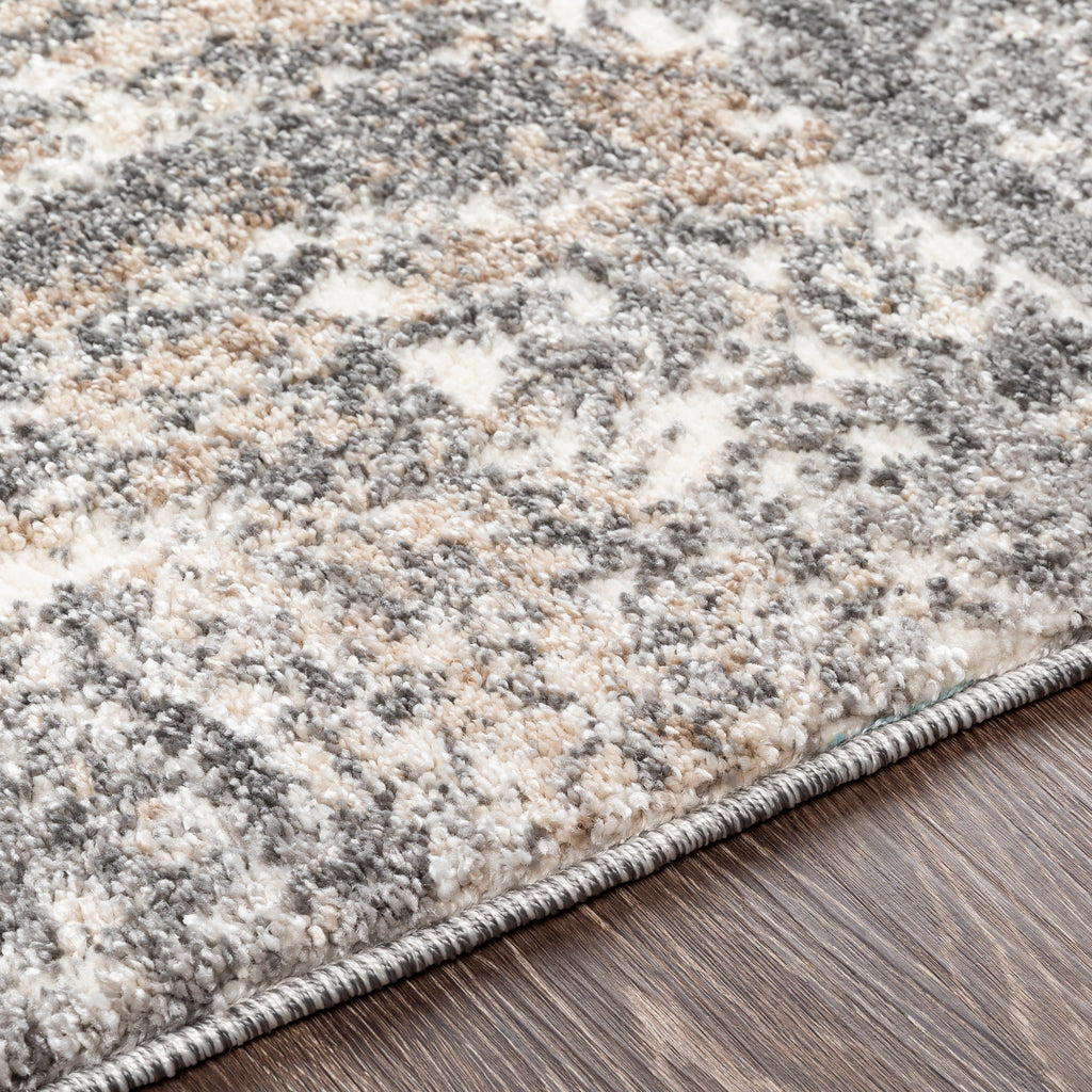 Surya Andorra Charcoal Rug | Andorra Rugs | Rugs Done Right 