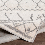 surya andorra ard 2303 medium gray rug