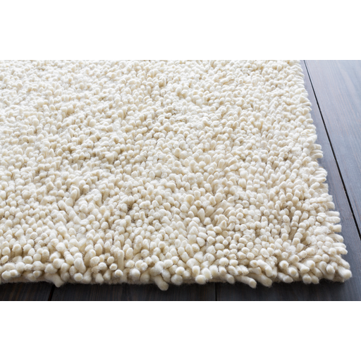Surya rug co. | Aros | Winter white rug | rugs done right