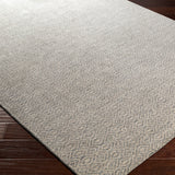Surya Rug Co. Astara Medium Gray Rug | Gray Rugs |Rugs Done Right 