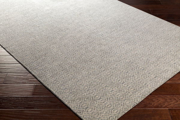 Surya Rug Co. Astara Medium Gray Rug | Gray Rugs |Rugs Done Right 