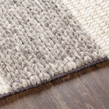 surya asos ass 2300 charcoal rug