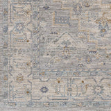 Transitional Surya Avant Garde Light Gray Rug | Indoor Rugs | Rugs Done Right