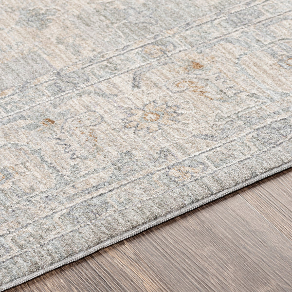 Surya Avant Garde Light Gray Rug | Charcoal Rugs | Rugs Done Right