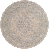 surya avant garde avt 2302 light gray rug