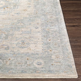 Surya Avant Garde Light Gray Rug | Rectangular Rugs | Rugs Done Right 