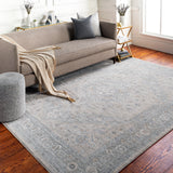 Surya Avant Garde Light Gray Rug | Indoor Rugs | Rugs Done Right 