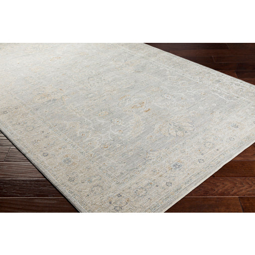 Surya Avant Garde Light Gray Rug | Rectangular Rugs | Rugs Done Right 