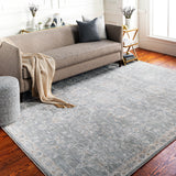 Traditional Surya Avant Garde Medium Gray Rug | Indoor Rugs | Rugs Done Right 