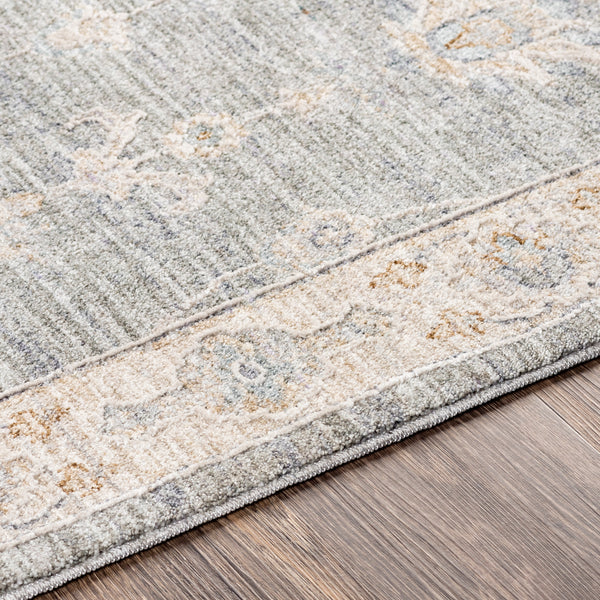 Surya Avant Garde Medium Gray Rug | Beige Rugs | Rugs Done Right 