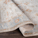 Traditional Surya Avant Garde Blue Rug  | Traditional Rugs | Rugs Done Right 