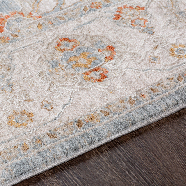 Surya Avant Garde Blue Rug | Traditional Rugs | Rugs Done Right 