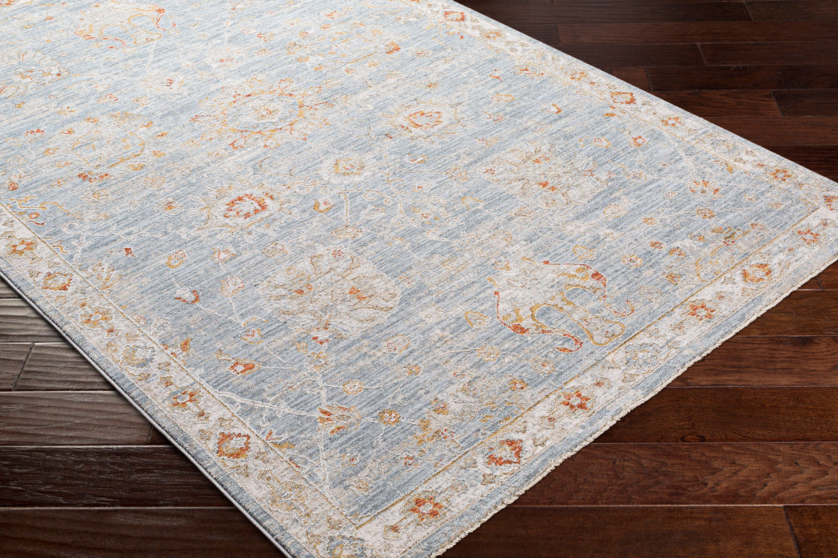 Surya Avant Garde Blue Rug | Indoor Rugs | Rugs Done Right 