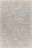 Surya Avant Garde Blue Rug | Blue Rugs | Rugs Done Right 