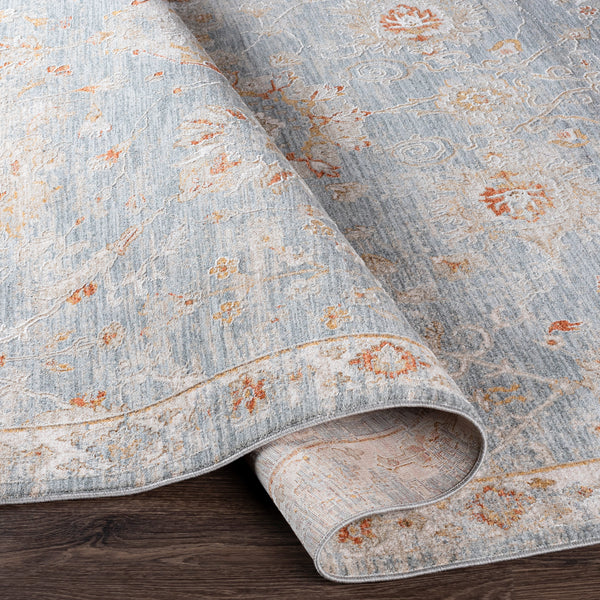 Surya Avant Garde Blue Rug | Traditional Rugs | Rugs Done Right 