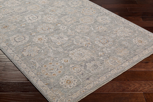surya avant garde avt 2335 gray rug