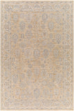 surya avant garde avt 2340 tan rug