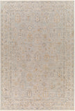 surya avant garde avt 2343 blue rug