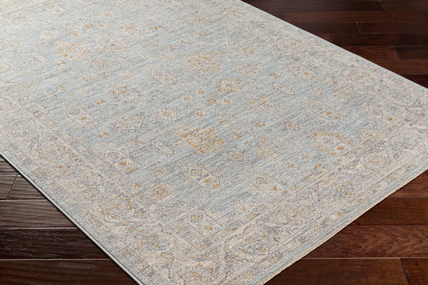 surya avant garde avt 2344 taupe rug