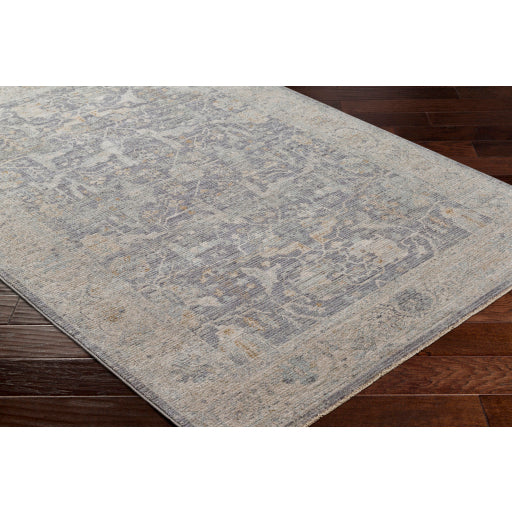 surya avant garde avt 2347 taupe rug