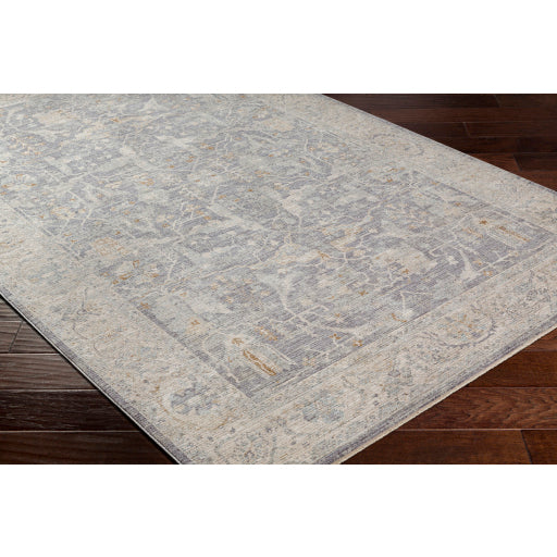 surya avant garde avt 2347 taupe rug